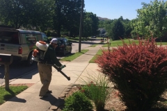 Mosquito control being applied to landscape beds