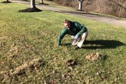 Mole Control 03