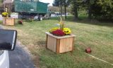 A&A Lawn Care & Landscaping - The Point 10