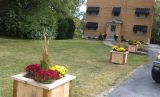 A&A Lawn Care & Landscaping - The Point 2