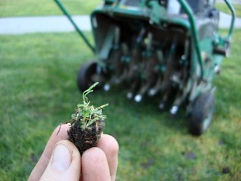 Lawn Tips – What Is Lawn Aeration and Overseeding? How Does It Help My Lawn and When Should I Have It Done?
