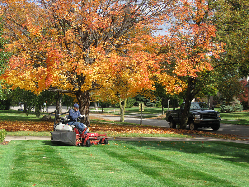 Lawn Maintenance Tips – If You Take Care and Prepare Your Lawn in the Fall, It Will Pay Off in the Spring!