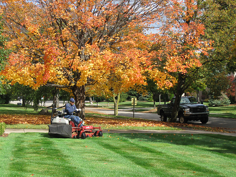 Lawn Watering Tips – Impact vs Oscillating Sprinkler Systems