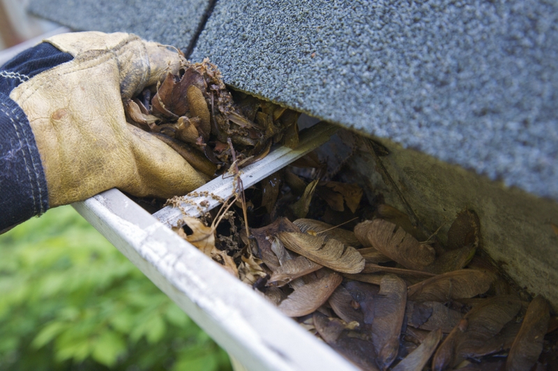 Gutter Maintenance – Why It’s Important to Clean Your Gutters in the Spring and Fall