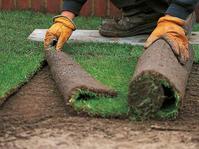 Landscaping Tips For Contractors – Getting the Best Results when You have to Lay Sod in the Winter