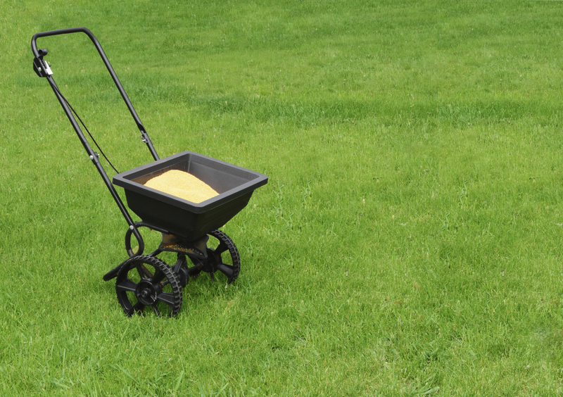 Why Your Lawn Needs a Last Fertilization Treatment and Some Maintenance Before Winter Sets In