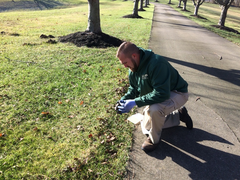 Mole Control Tips – What Can I Do If Have Moles in My Yard? How To Get Rid of Moles Quick!