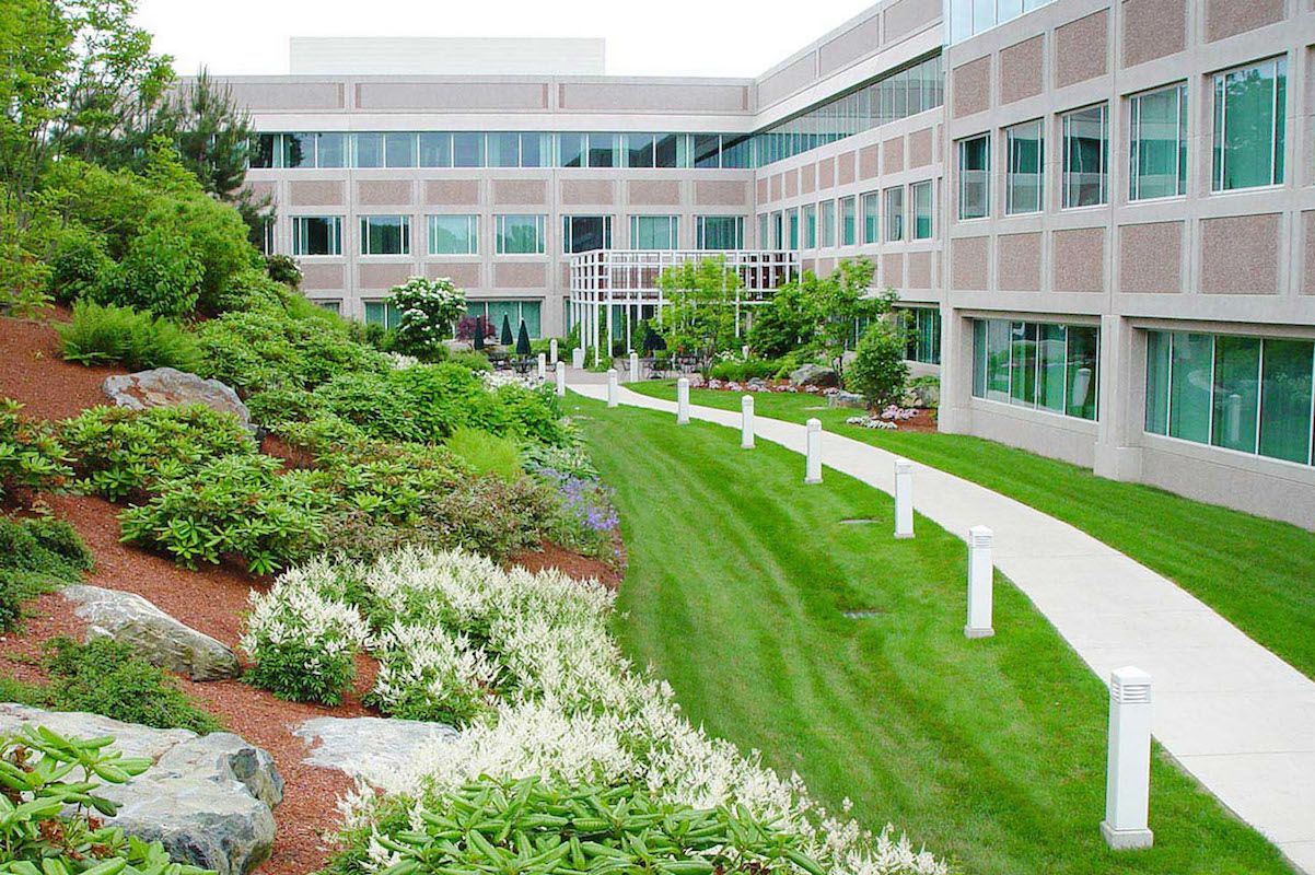 Commercial Landscaping Tips – Commercial Landscaping Is As Much About Safety and Efficiency As It Is About Beauty!