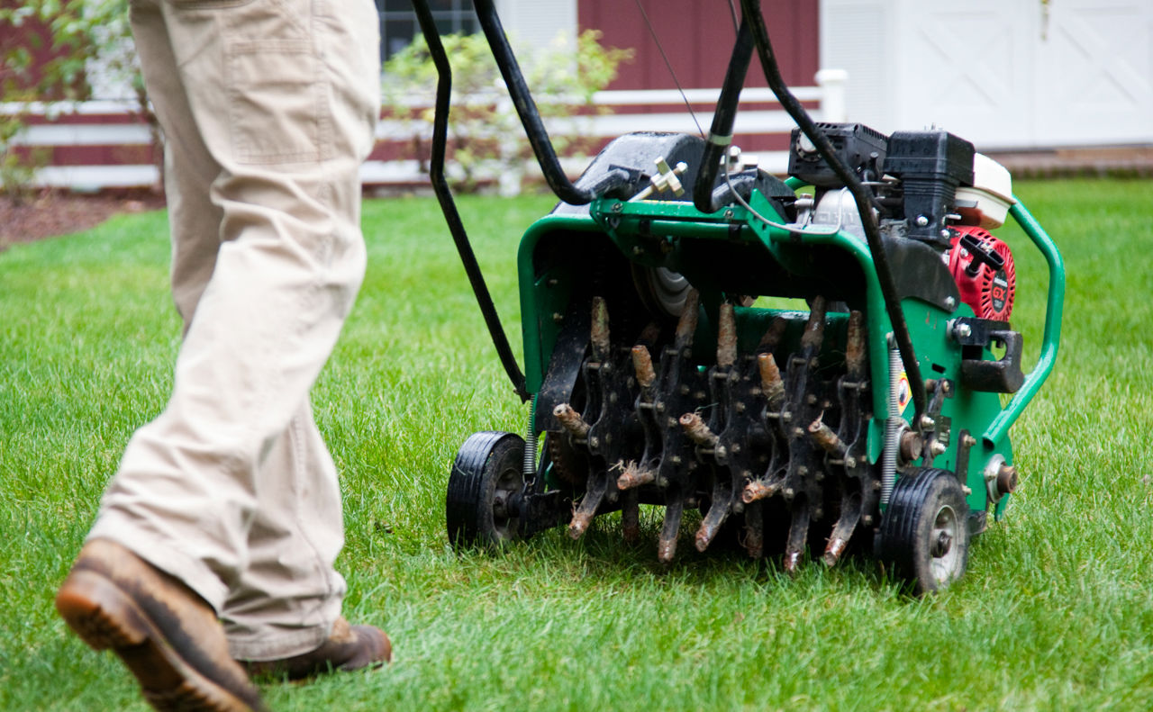 TOP SERVICES FOR SEPTEMBER… Aeration & Overseeding, Lawn Care, Mole Control, and Outdoor Lighting…