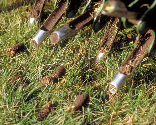 Aerate and Overseed This Fall to To Have a Beautiful Lawn Next Spring!…