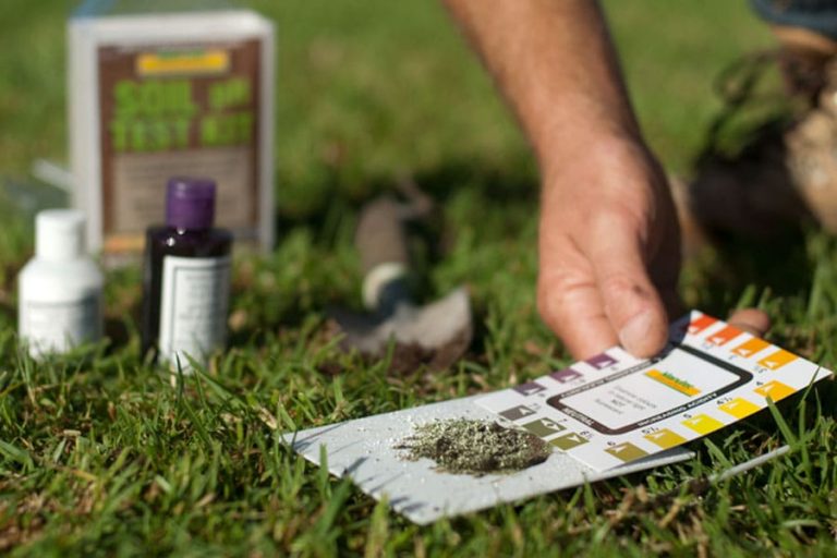 The Benefits of Adding Lime to Your Lawn and When to Apply It… A&A