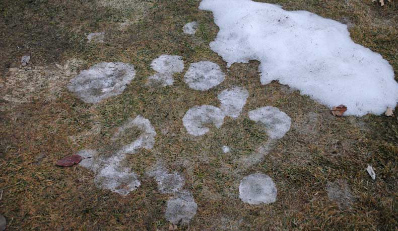 The Key To Preventing Snow Mold is Doing the Right Things for Your Lawn in the Fall and Winter!
