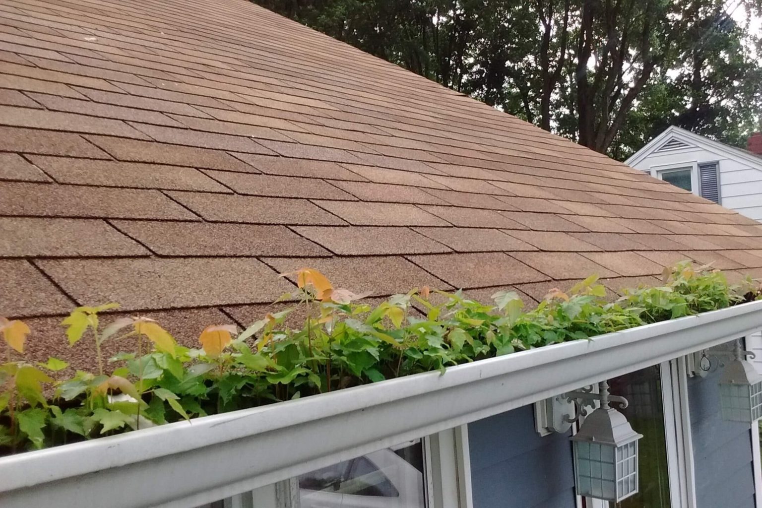 Northern Kentucky Gutter Cleaning Florence Union Burlington