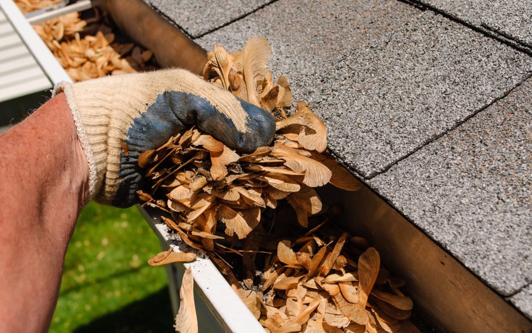 TOP SERVICES FOR OCTOBER… Aeration & Overseeding, Lawn Care, Gutter Cleaning, Mole Control, and Outdoor Lighting…