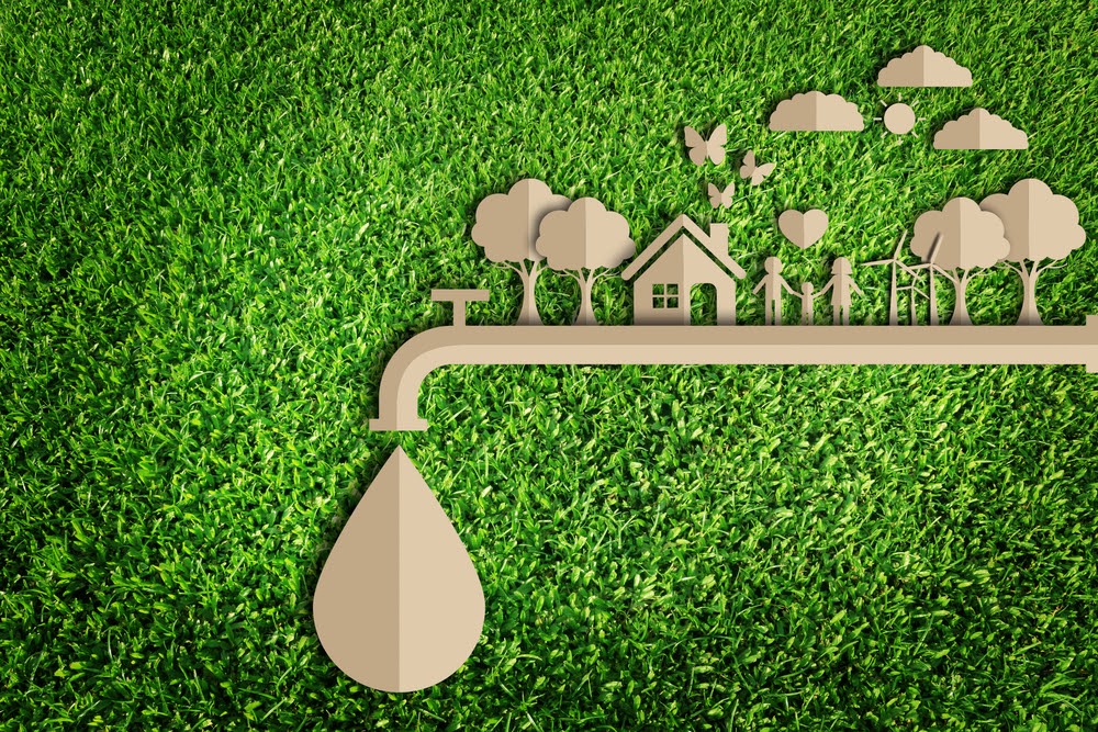 3 Ways to Save Water Through Landscape Design…