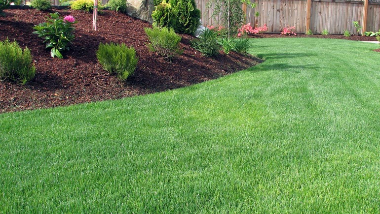 A Lawn Care Landscaping, Healthy Turf Landscape Management