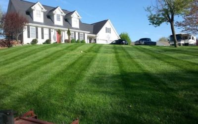 Lawn Mowing Tips For a Healthier and Much Greener Lawn…