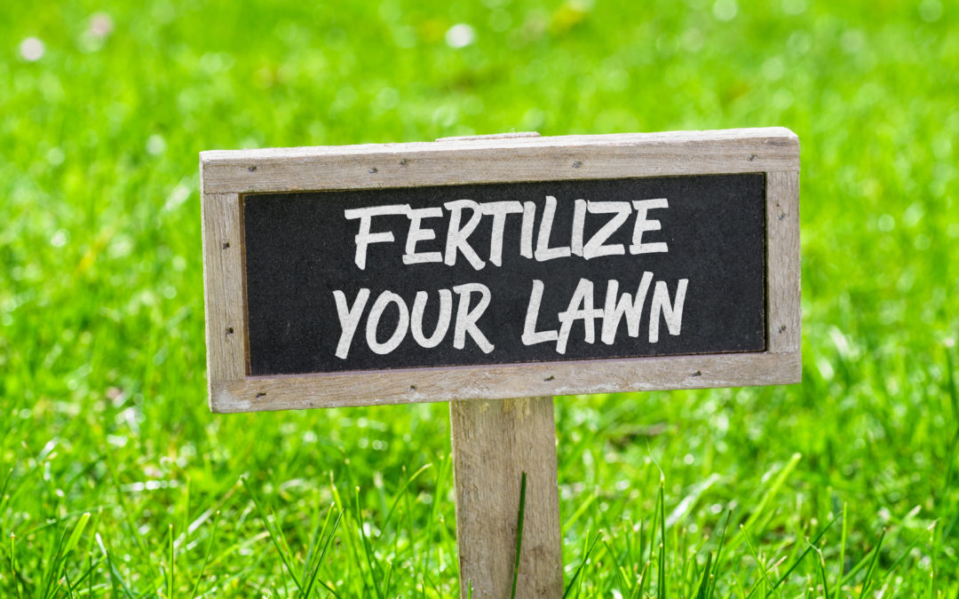 TOP SERVICES FOR JUNE… Lawn Care, Mosquito Control, and Mole Control…