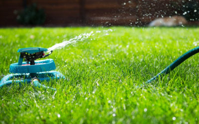 3 Ways a Healthy Lawn Will Help You Conserve Water…