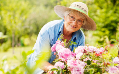 3 Ways Hiring a Professional Lawn Care Company Makes Sense for Seniors…