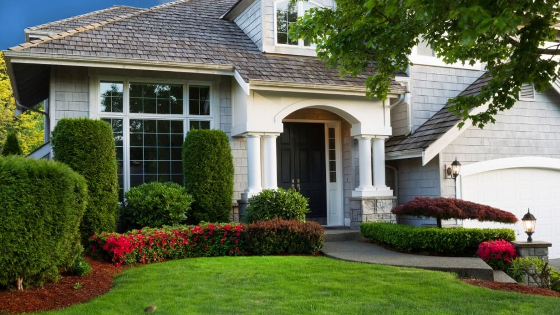 TOP SERVICES FOR AUGUST… Lawn Care, Aeration & Overseeding, Tree & Shrub Maintenance, and Mole Control…