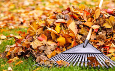 TOP SERVICES FOR NOVEMBER… Fall Cleanup, Gutter Cleaning, Holiday Lighting, and Snow Removal…