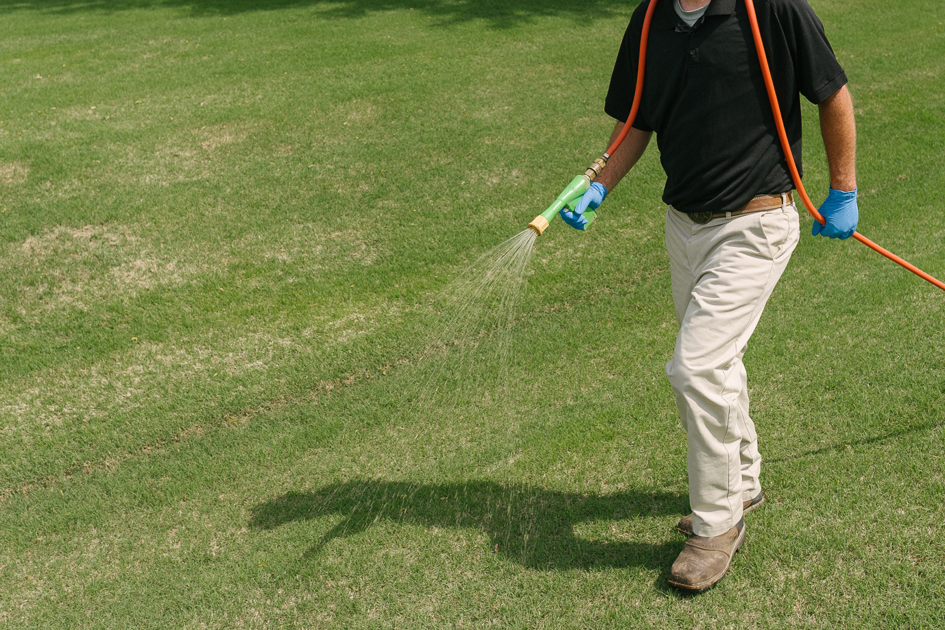 why-do-i-need-to-fertilize-my-lawn-a-a-lawn-care-landscaping