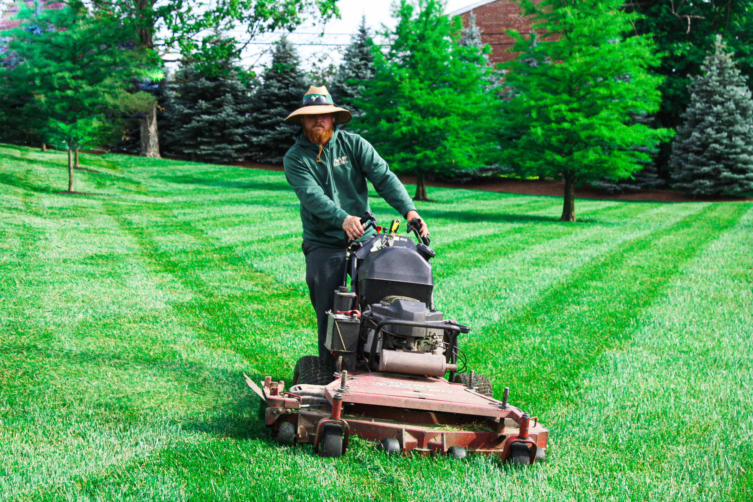 auckland lawn mowing