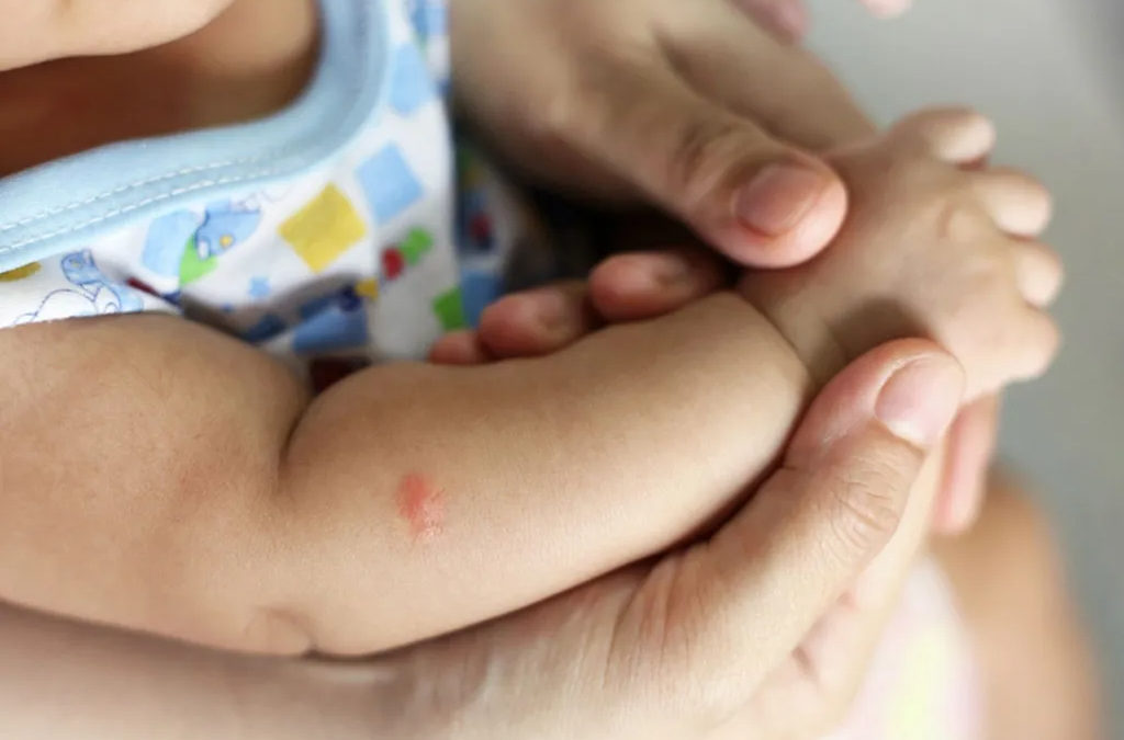 The Best Ways To Protect Babies From Getting Mosquito Bites In Your Yard…