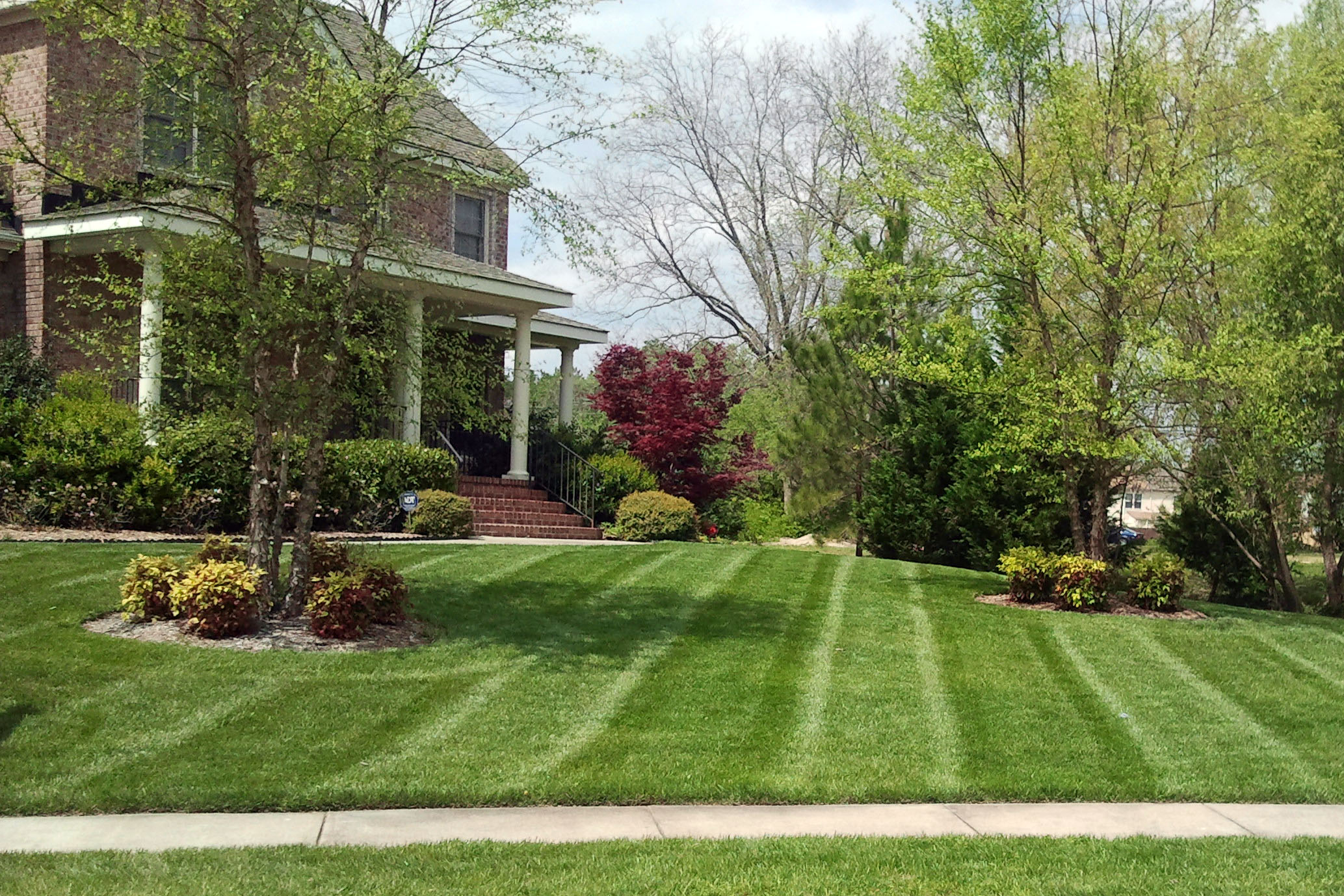 What To Know Before Hiring Lawn Care and Landscaping Professionals