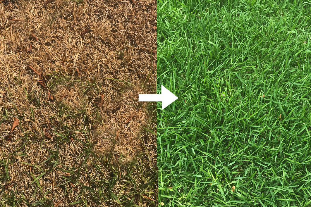 how-to-keep-your-lawn-green-in-hot-weather-a-a-lawn-care-landscaping