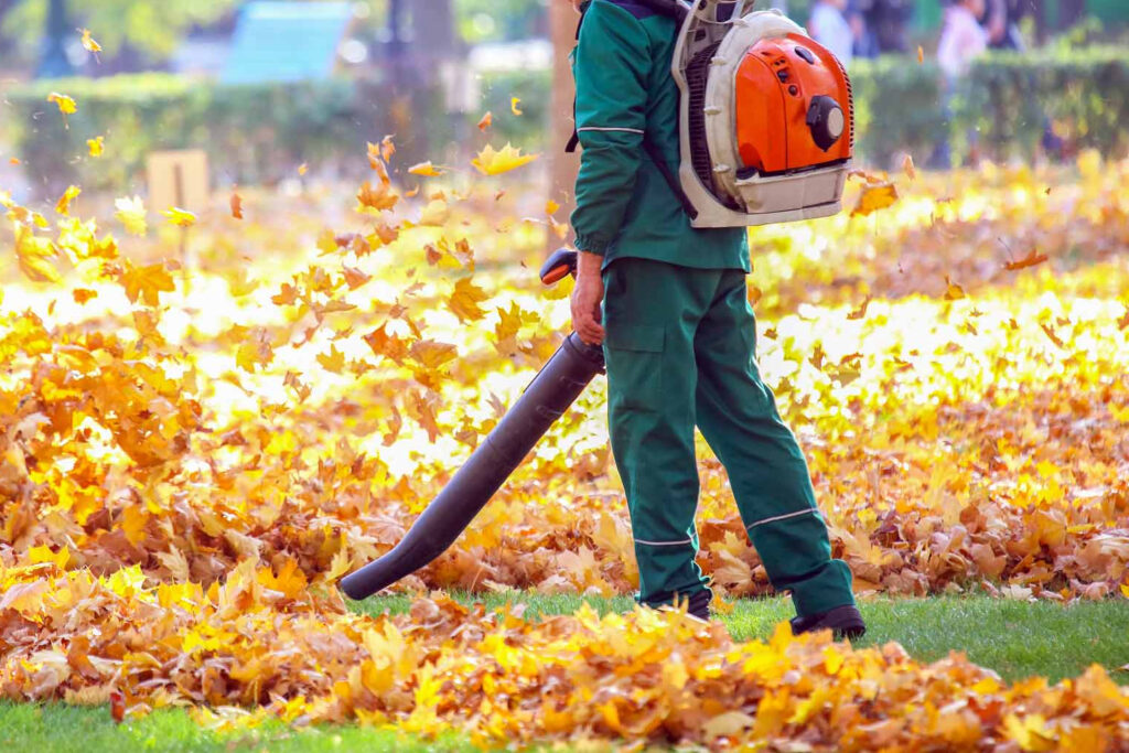 Fall Leaf Cleanup: Tips and Tricks for a Beautiful Lawn… | A&A Lawn ...