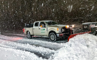 The Importance of Professional Commercial Snow Removal Services…