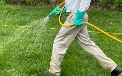 Spring Lawn Care: The Power of Pre-Emergent Herbicides…