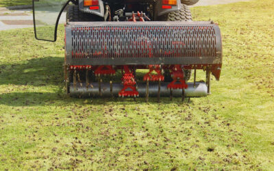 A Guide For How To Rejuvenate Your Lawn Through Aeration and Over Seeding…