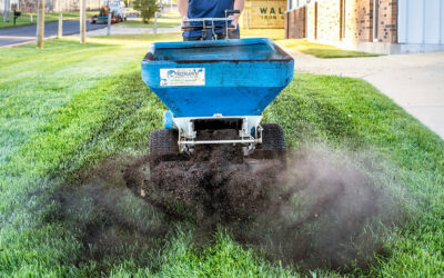 The Important Benefits To Top Dressing Your Lawn…