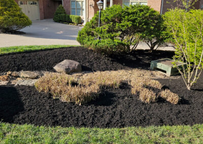Spring Clean-Up (Florence, Kentucky)