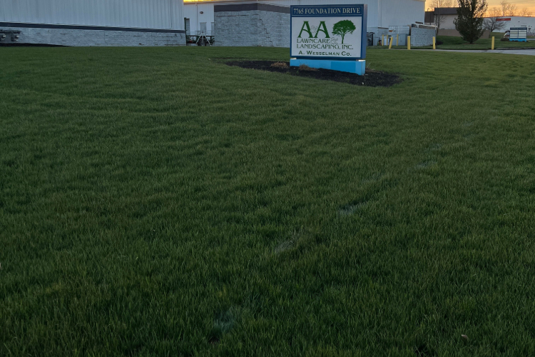 A & A Lawncare – Office Turf Renovation (Florence, Kentucky)