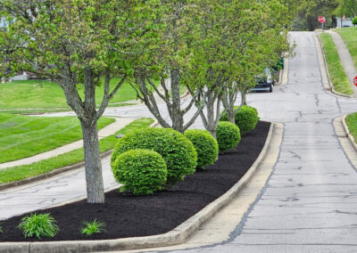Deer Creek HOA (Crescent Springs, Kentucky)