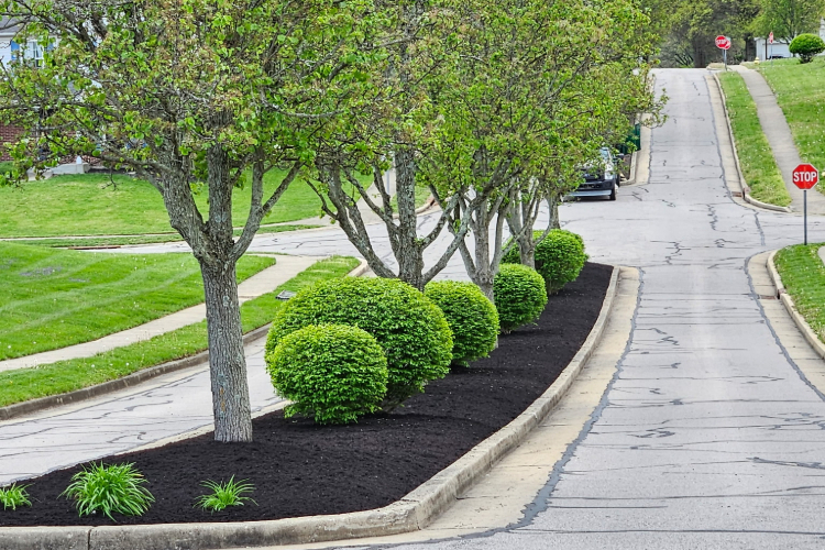 Deer Creek HOA (Crescent Springs, Kentucky)