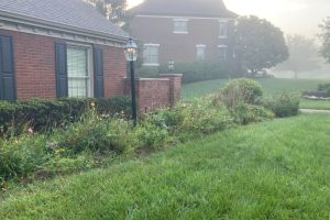 Brick house with blue shutters, a lit lamppost, and a flower-filled garden bed along a green lawn on a misty morning.