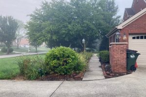 Residential front yard with a concrete walkway, green shrubs, and a brick house with a green trash bin near the garage.
