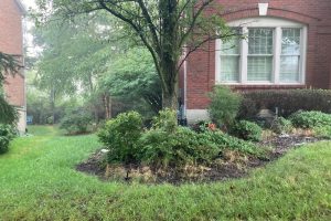 Brick house with a large bay window behind a circular mulched garden bed centered by a tree and surrounding green lawn, on a damp day.