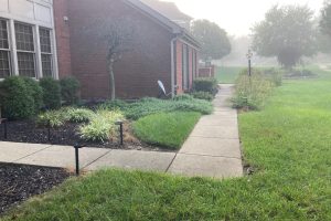 Sidewalk beside a red brick building with trimmed shrubs and a small tree, in a misty morning setting.