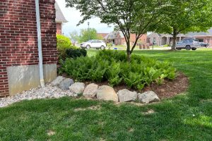 Fern bed bordered by large rocks beside a brick house, with a gravel strip and green lawn nearby