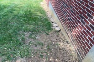 Patchy grass and bare soil along the side of a brick building, with a row of stones stacked against the foundation