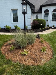 Lamp post standing in a mulch-filled garden bed with tall ornamental grass and small plants, in front of a white brick house with sidelights and arched windows.