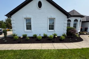 Front view of a white brick house with two windows and a mulched garden bed along the foundation, small green shrubs, and a sidewalk in front.