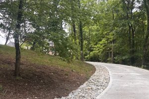 Curved concrete path winding through a green forest, edged by a line of rocks on the left.