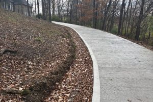 Winding concrete path through a leaf-strewn hillside forest, with a house visible at the top left.